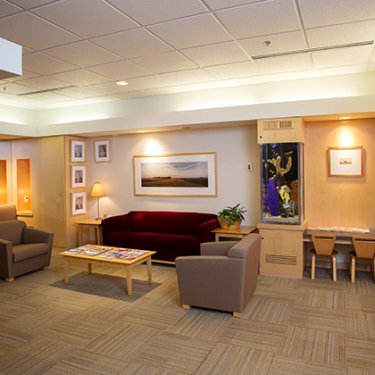 The Dental Specialists Shakopee